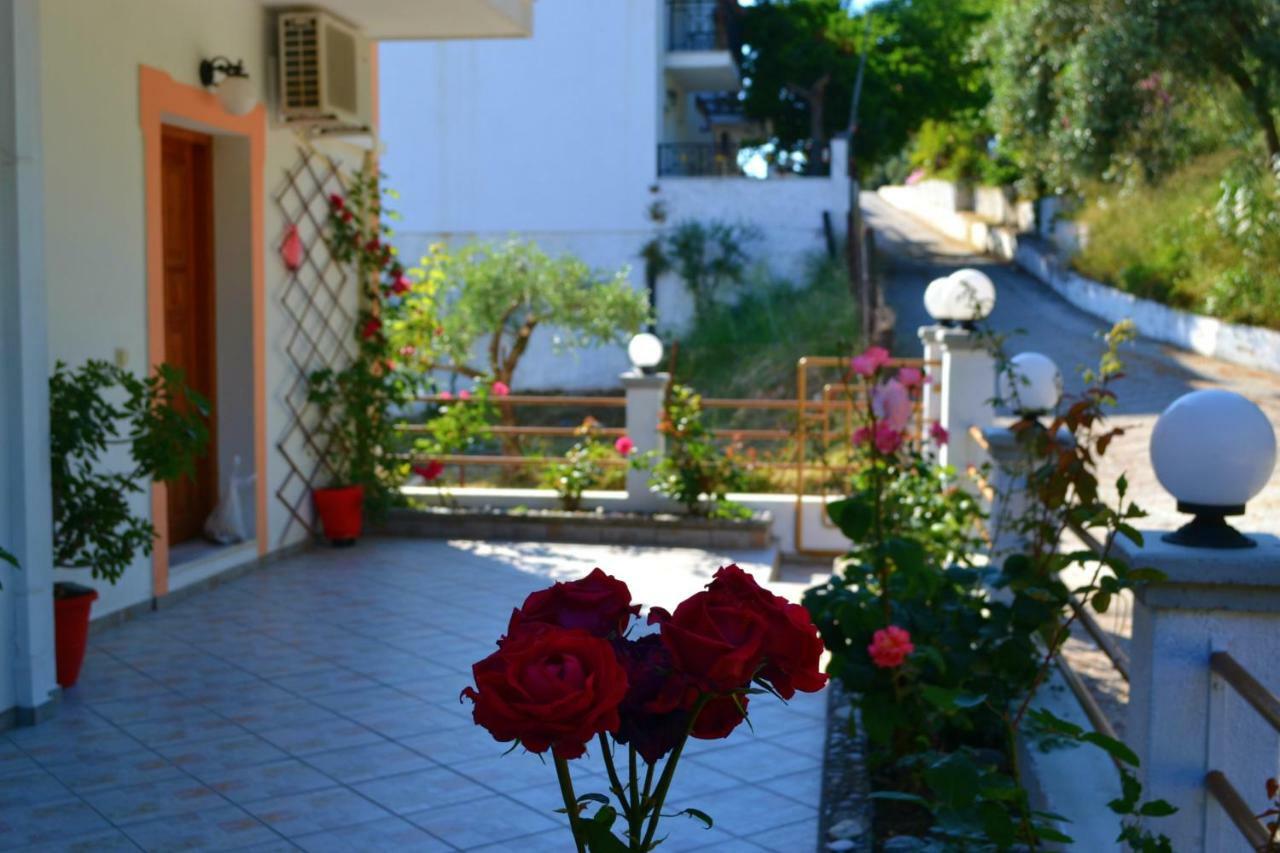 Στούντιο Άννα Διαμέρισμα Νέο Κλήμα Εξωτερικό φωτογραφία